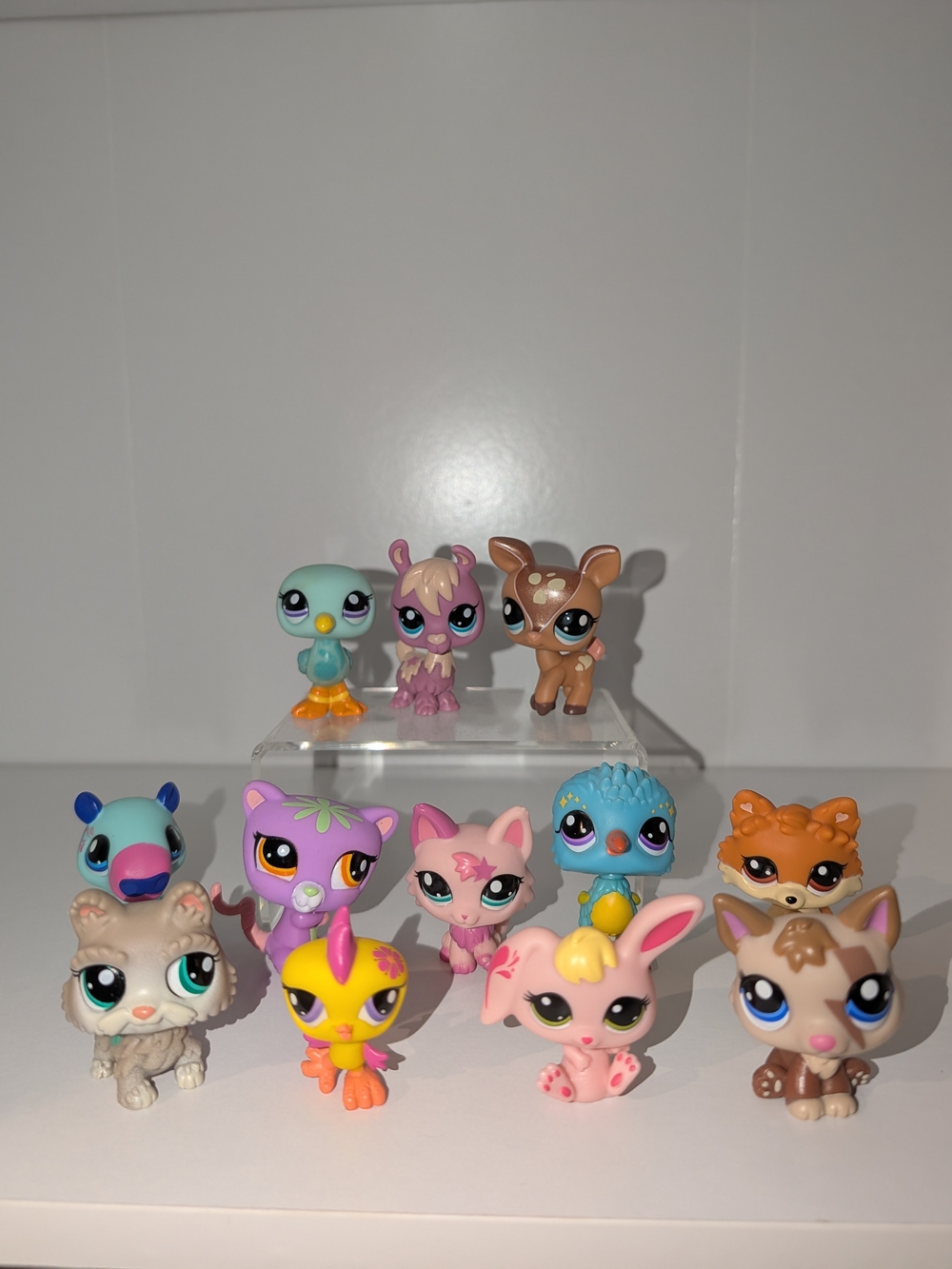 Littlest Pet Shop Lot Of 12